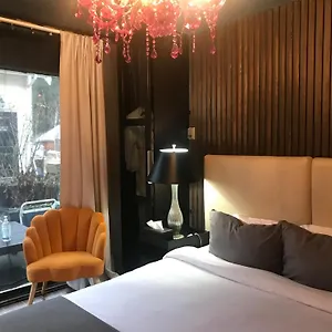 Style Basement Homestay Vancouver